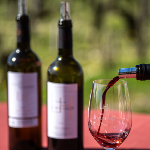 Dégustation de 3 vins