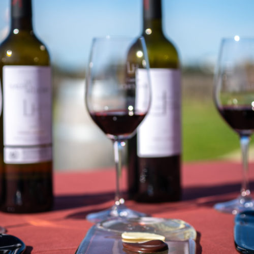 Dégustation Gourmande