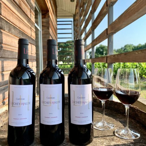 Vertical Tasting in Red