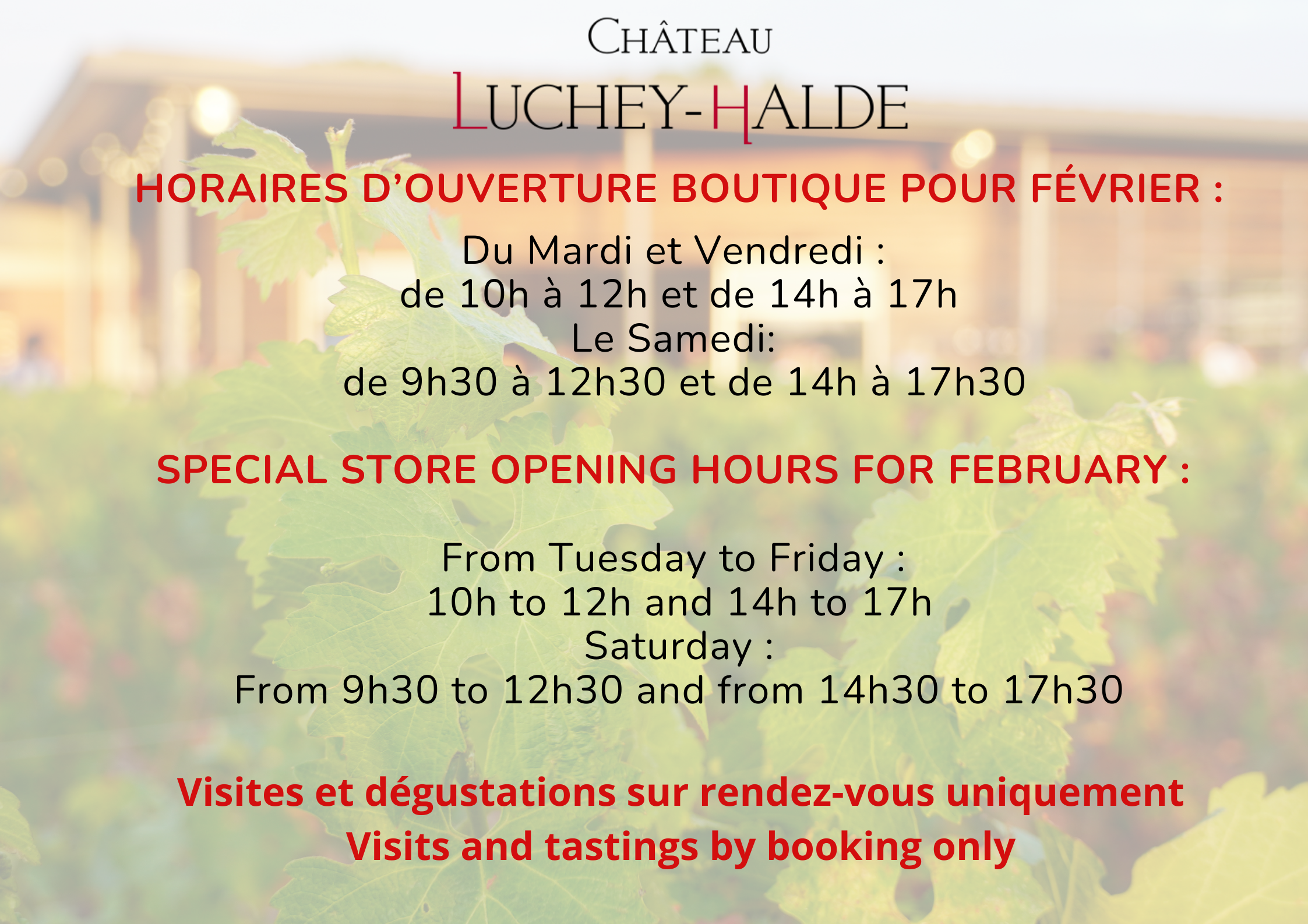 L'équipe du Château vous souhaite de très bonnes fêtes de fin d'année !(3) L'équipe du Château vous souhaite de très bonnes fêtes de fin d'année !(3)