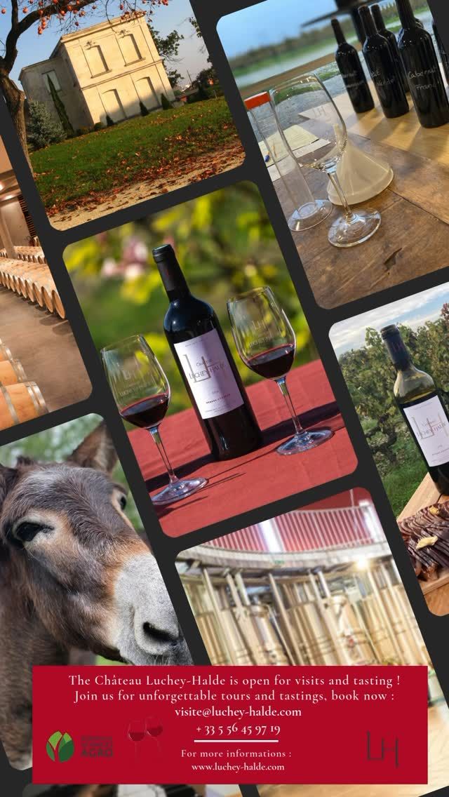 🇫🇷🍇Vous recherchez une activité pour animer votre samedi ? En famille, entre amis, venez visiter notre propriété et déguster nos vins ! 🍷✨
Visites et dégustations sur réservation uniquement, du mardi au samedi : 
- visite@luchey-halde.com
- 05 56 45 07 19 

——
🇬🇧🍇You are looking for an activity to do on your Saturday ? With your friends or your family, come to discover our estate and taste our wines ! 🍷 ✨
Tours and tastings by booking only, from Tuesday to Saturday :
- visite@luchey-halde.com
- + 33 5 56 45 97 19 

"L'abus d'alcool est dangereux pour la santé, à consommer avec modération"

#chateaulucheyhalde #bordeauxsciencesagro #pessacleognan #vinsdebordeaux #winelovers #degustation #oenotourisme #visites #bordeauxwinetrip #pulpe #tastings  #oenotourism #toursandtastings #bordeauxwine