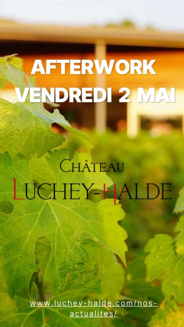 🎉LES RÉSERVATIONS SONT OUVERTES ! 🙌

Vous avez envie de commencer le week-end de manière festive et joyeuse avec vos amis, votre famille ou vos collègues ? 

Laissez- vous charmer par le premier Afterwork de la saison 2025 au Château Luchey-Halde ! 

🚈 À 20 minutes en tramway de Bordeaux, venez passer un moment unique au mileu des vignes ! 🍇

L’événement est gratuit et accessible sur réservation uniquement, pour garantir une ambiance chaleureuse et exclusive.

Au programme : 

🍷Vente de vin au verre et à la bouteille en rouge et blanc
🫒 Planches apéritives à partager, concoctées grâce à nos partenaires: La Toque Cuivrée, Le Domaine de La Peyrouse, La Compagnie Fermière
🎲 Et notre nouveauté 2025 : des jeux de société en libre accès, pour petits et grands ! 

Amateurs de bons vins, joueurs dans l’âme ou simplement en quête d’un moment de déconnexion, venez déguster un verre dans un écrin de verdure au cœur de la ville ! 

🚈 Tram A : arrêt Fontaine d’Arlac

Les réservations se font par téléphone au 05.56.45.97.19 ou par mail sur visite@luchey-halde.com.

L’abus d’alcool est dangereux pour la santé, à consommer avec modération. 

#chateaulucheyhalde #bordeauxsciencesagro #pessacleognan #vinsdebordeaux #winelovers #degustation #oenotourisme #visites #bordeauxwinetrip #pulpe #tastings  #oenotourism #toursandtastings #bordeauxwine #apero #afterwork #terrasse #happy
#