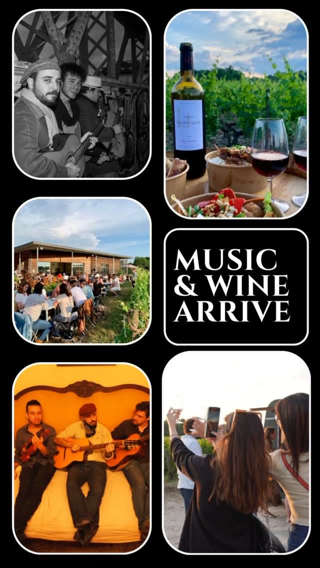 ⚠️Lien de réservation pour Music & Wine en Bio⚠️ 

 🎉 L’afterwork est presque complet ! Les réservations fermeront bientôt ! 
Mais pas de panique 😱 ! Les événements continuent au Château  Luchey-Halde ! 

🎶Venez profiter de Music and Wine, concert dans les vignes, avec le groupe Mango Swing et ses mélodies argentines ! 
Pour sublimer ce moment, dégustez une sélection de vins rouges et blancs servis au verre ou à la bouteille : Les vins de notre château ainsi que ceux de nos partenaires, les viticoles de la région 

✅ Plus d’infos et réservations sur : 
www.billetweb.fr/music-wine2
⚡️ Profitez du tarif Earlybird jusqu’au 17 mai : seulement 13,5€ au lieu de 15€ ! ‼️

Le tarif inclus : 
🎵 Concert de 2h
🍷 Un verre de vin (choix entre 5 et 9€)
💵 Verre consigné à 2€

Réservez vite 

! #ChateauLucheyHalde #PessacLeognan #Afterwork #MangoSwing #MusicAndWine #EarlyBird #bordeauxsciencesagro #bordeauxmetropole #degustation #concertdanslesvignes #aucoeurdesvignes #vinsdebordeaux 

L’abus d’alcool est dangereux pour la santé, à consommer avec modération !